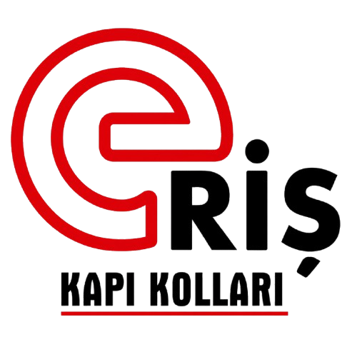 ERİŞ